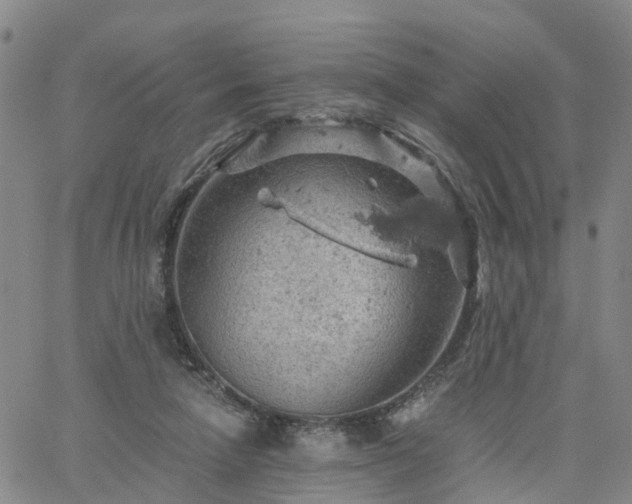 X0000061740258200512091618