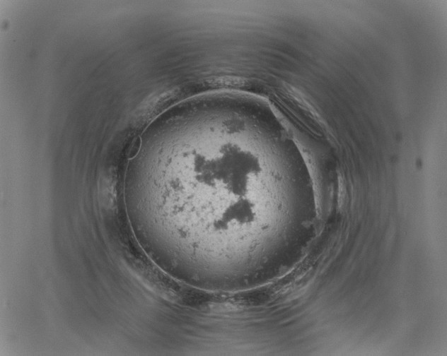 X0000061740259200512091618