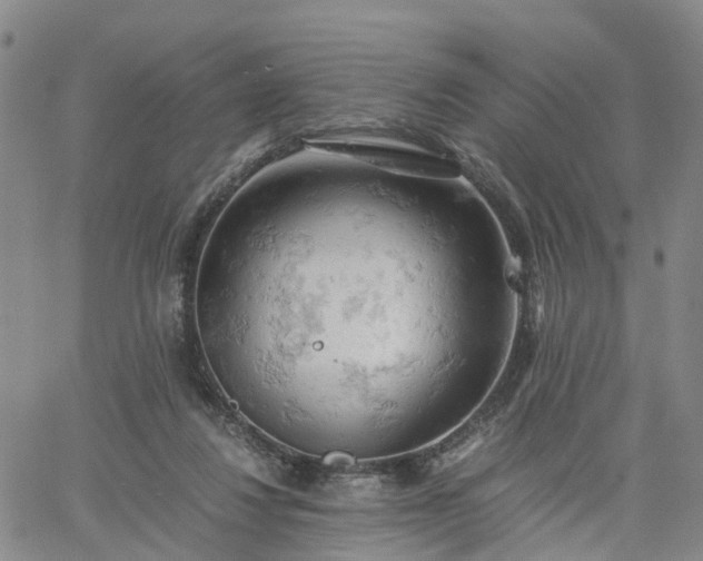 X0000061740260200512091618