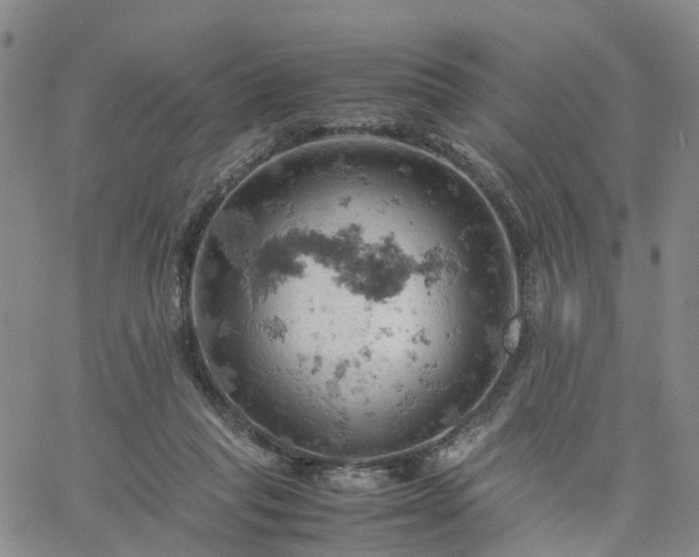 X0000061740261200512091618