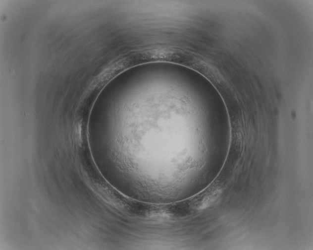 X0000061740262200512091618