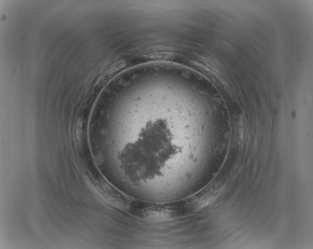 X0000061740263200512091618