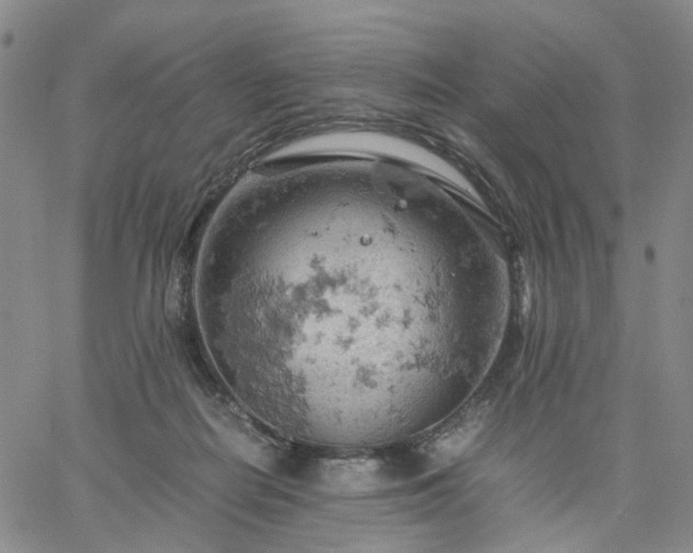 X0000061740266200512091618