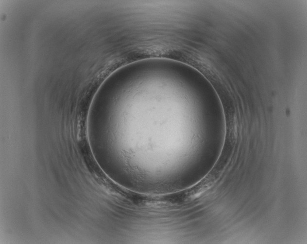 X0000061740268200512091618