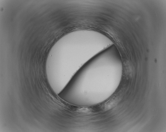 X0000061740269200512091618