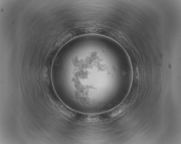 X0000061740270200512091618