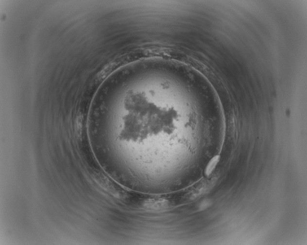 X0000061740271200512091618