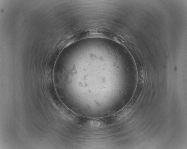 X0000061740272200512091618