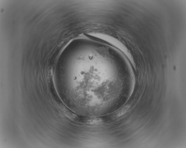 X0000061740274200512091618