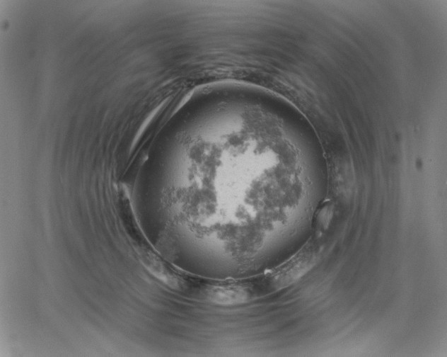 X0000061740275200512091618