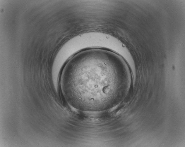 X0000061740276200512091618