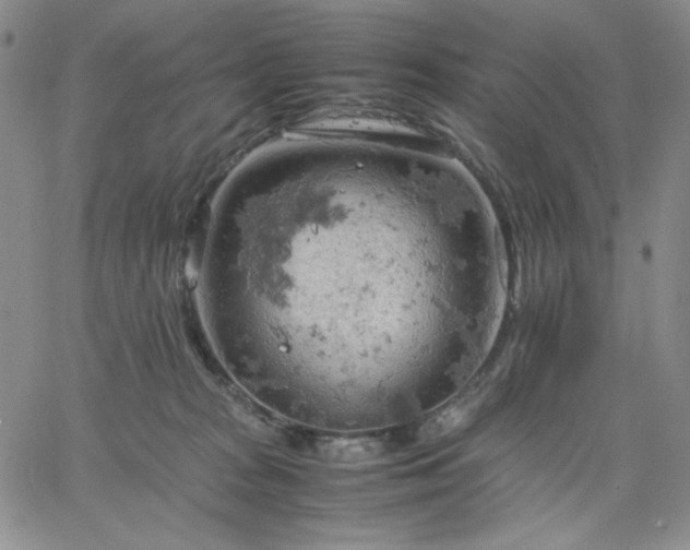 X0000061740277200512091618