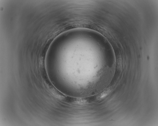 X0000061740278200512091618