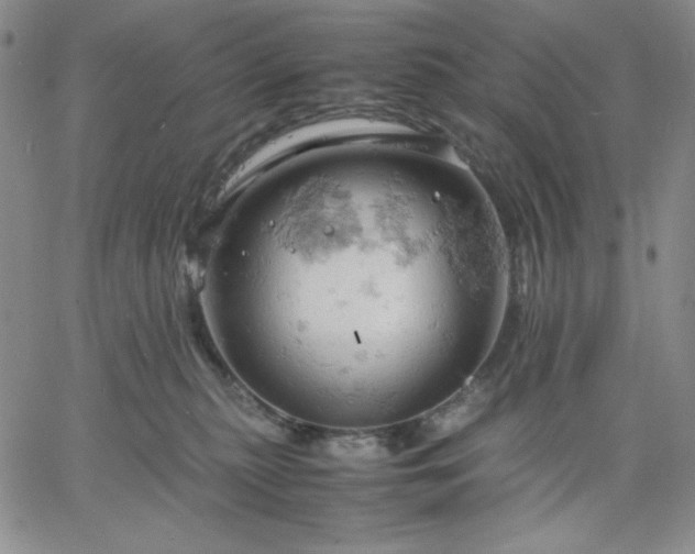 X0000061740279200512091618