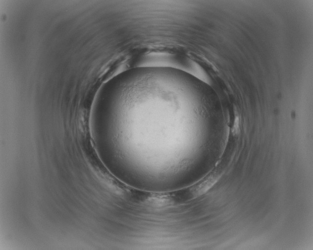 X0000061740280200512091618