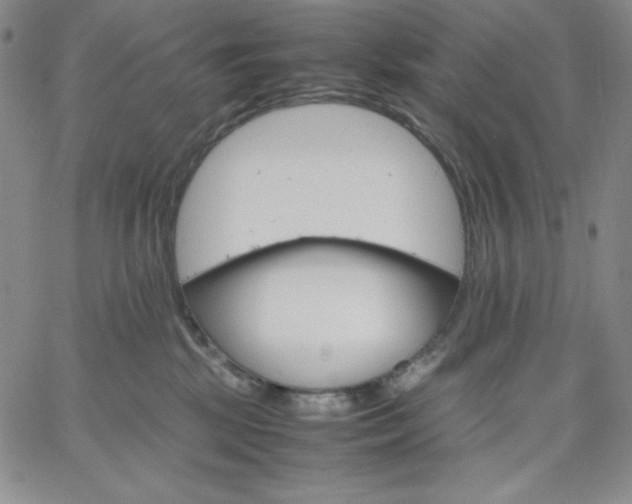 X0000061740281200512091618