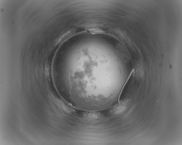 X0000061740282200512091618