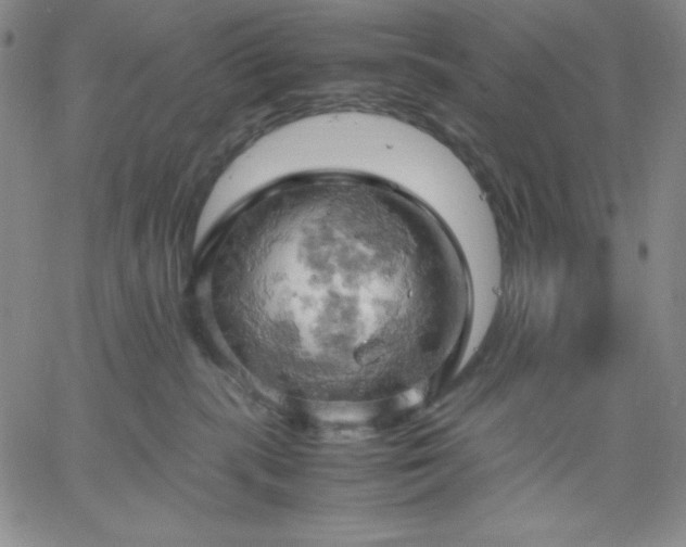 X0000061740283200512091618