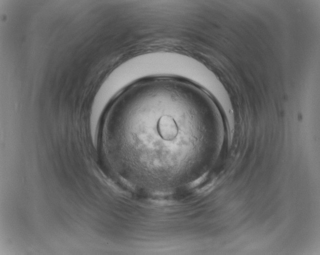 X0000061740284200512091618