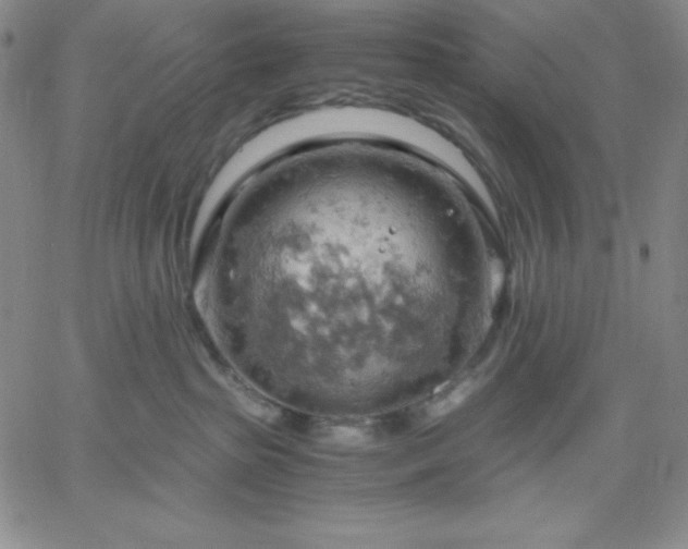 X0000061740285200512091618