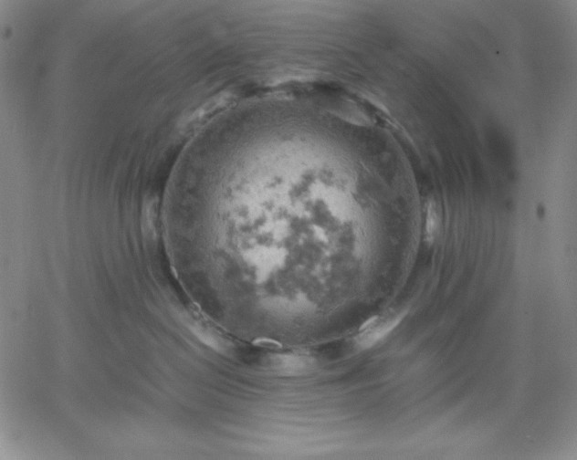 X0000061740286200512091618