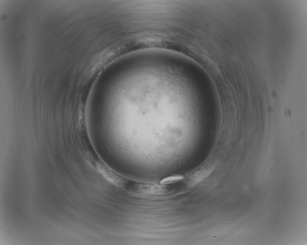 X0000061740288200512091618