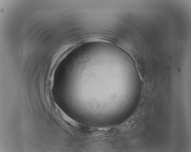 X0000061740289200512091617