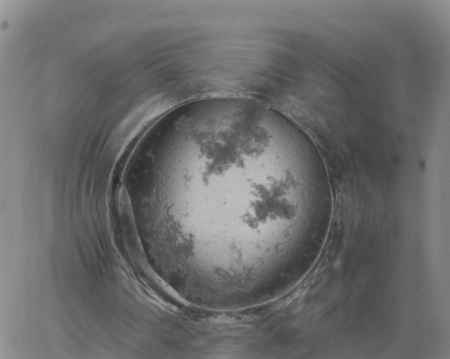 X0000061740290200512091617