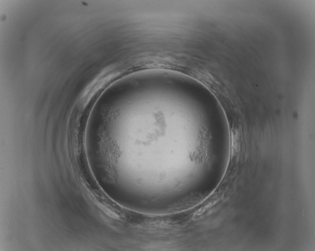 X0000061740291200512091617