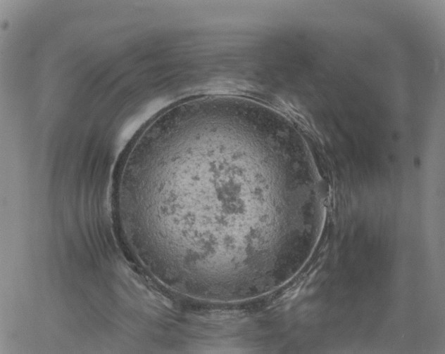 X0000061740292200512091617