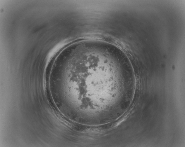 X0000061740294200512091617