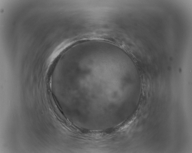 X0000061740295200512091617