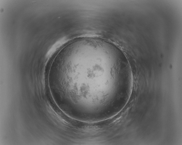 X0000061740296200512091617