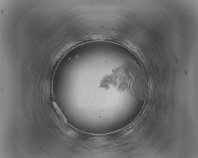 X0000061740297200512091617