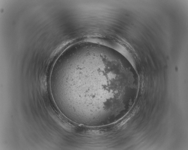 X0000061740298200512091617