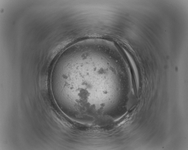 X0000061740299200512091617