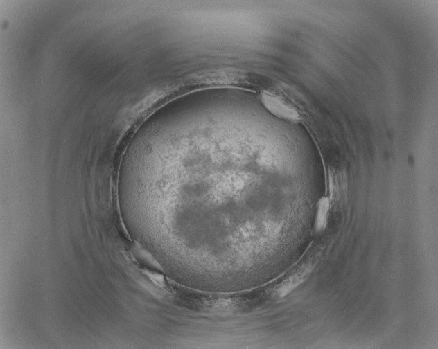 X0000061740301200512091617