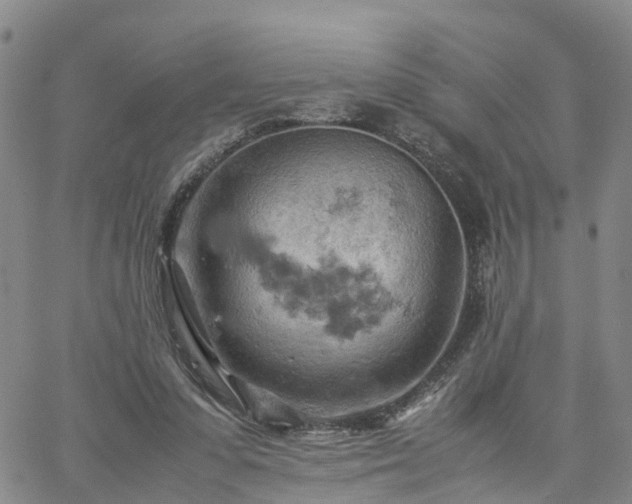 X0000061740303200512091617