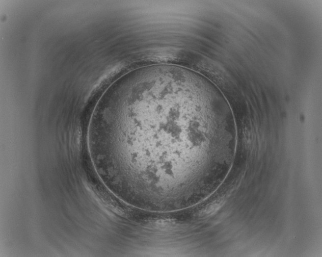 X0000061740304200512091617