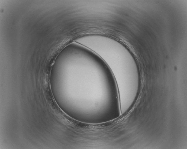 X0000061740305200512091617