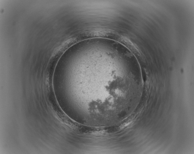 X0000061740306200512091617