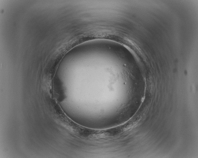 X0000061740307200512091617