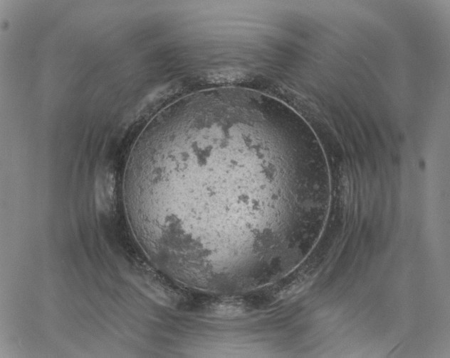 X0000061740308200512091617