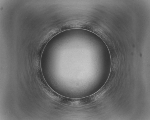 X0000061740309200512091617