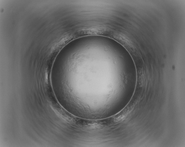 X0000061740310200512091617