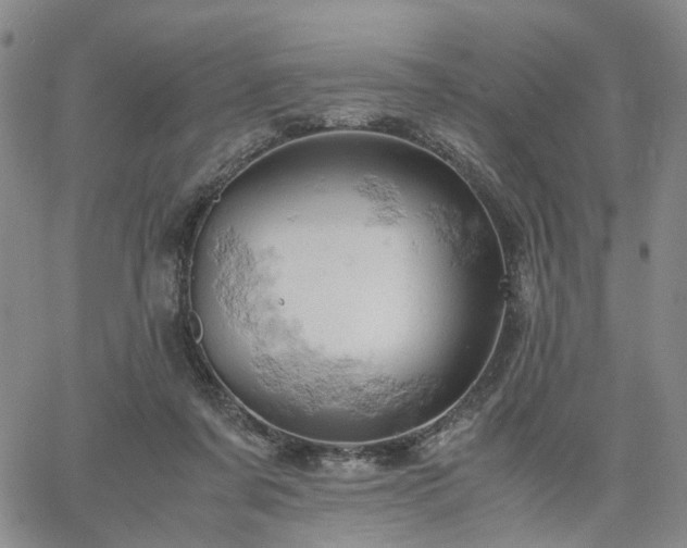 X0000061740311200512091617