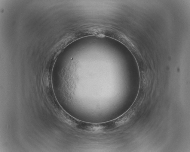 X0000061740313200512091617