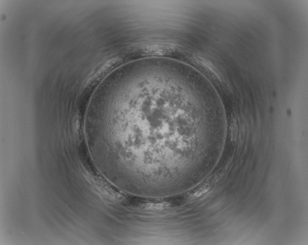 X0000061740314200512091617