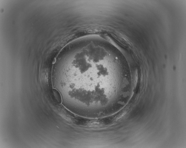 X0000061740315200512091617