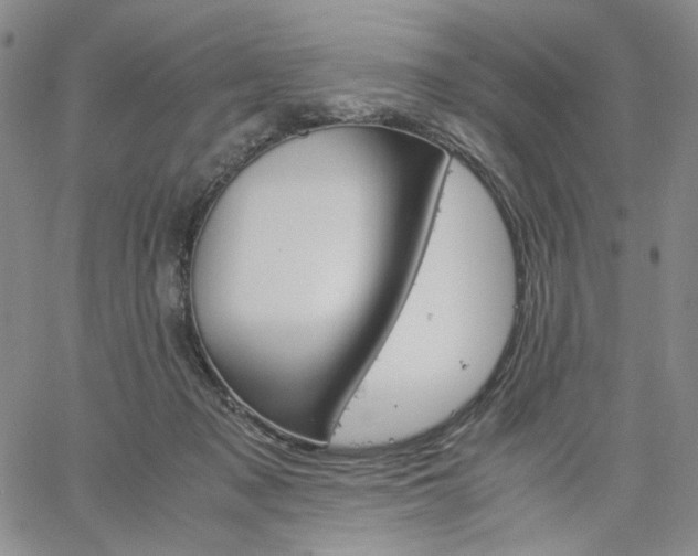 X0000061740317200512091617